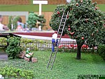 DSCN0456.jpg