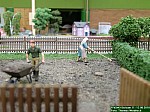 DSCN0457.jpg