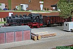 IMG_9236.jpg