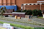 IMG_9255.jpg