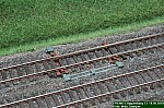 IMG_1212.JPG