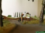 DSCN0982.jpg