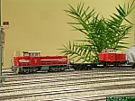 DSCN2130.JPG