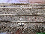 DSCN2198.JPG