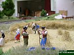 DSCN3776.JPG DSCN3776.JPG