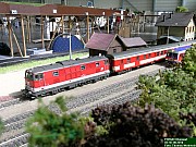 DSCN0042.JPG DSCN0042.JPG