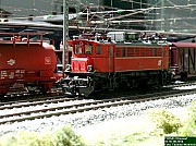 DSCN0091.JPG DSCN0091.JPG