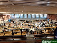 20250208_091457.jpg