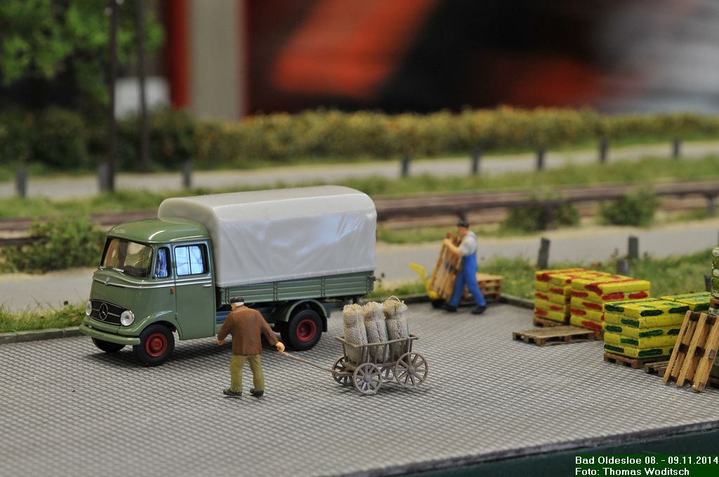 DSC_9019.JPG