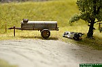 DSC_0069.JPG