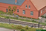 DSC_0589a.JPG