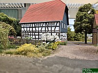 20241020_113632.jpg