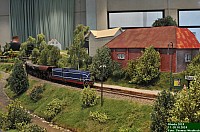 DSC_1239.JPG