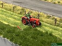 IMG_3575.JPEG
