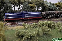 DSC_0521.jpg