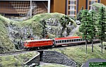 DSC_0683.JPG