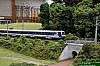 DSC_6918.jpg