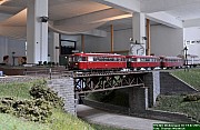 DSC_0377.jpg