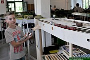 DSC_0380.jpg