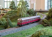 Wehm_2015-2265.jpg